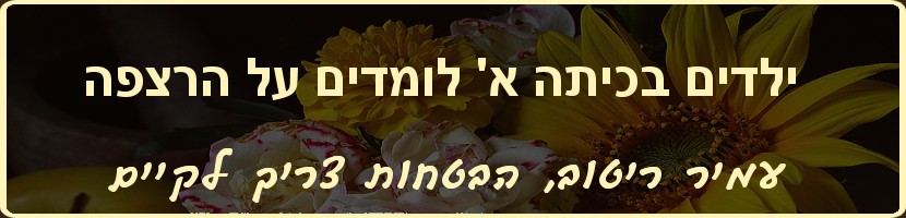 עמיר ריטוב - הבטחות צריך לקיים