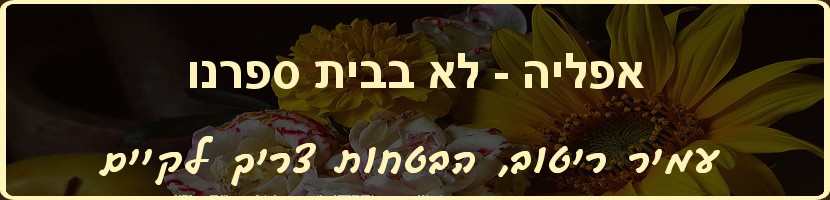 עמיר ריטוב - הבטחות צריך לקיים