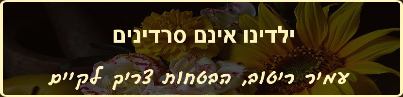 עמיר ריטוב - הבטחות צריך לקיים