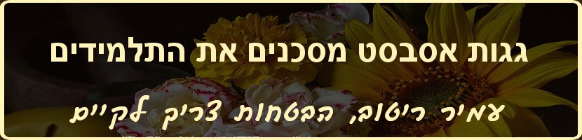 עמיר ריטוב - הבטחות צריך לקיים