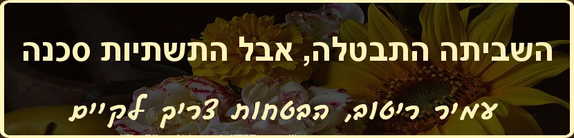 עמיר ריטוב - הבטחות צריך לקיים