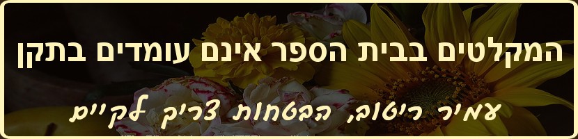 עמיר ריטוב - הבטחות צריך לקיים