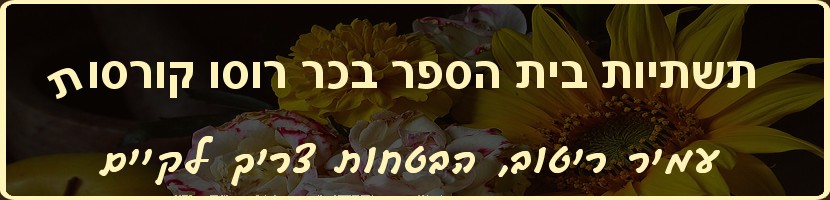 עמיר ריטוב - הבטחות צריך לקיים