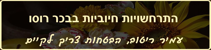 עמיר ריטוב - הבטחות צריך לקיים