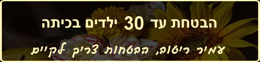עמיר ריטוב - הבטחות צריך לקיים