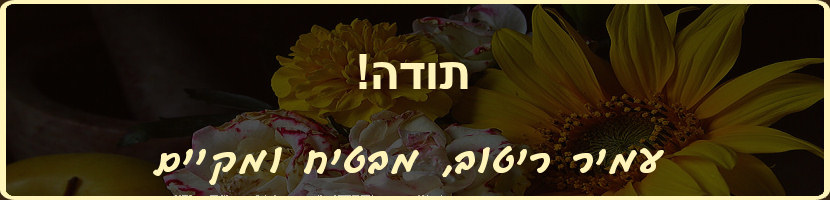 עמיר ריטוב - הבטחות צריך לקיים