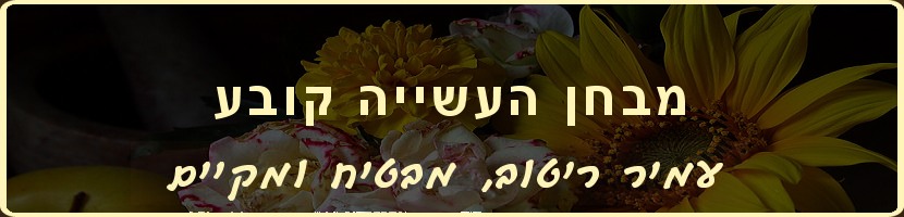 עמיר ריטוב - הבטחות צריך לקיים