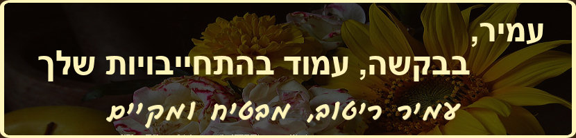 עמיר ריטוב - הבטחות צריך לקיים