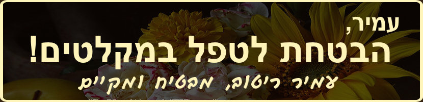 עמיר ריטוב - הבטחות צריך לקיים