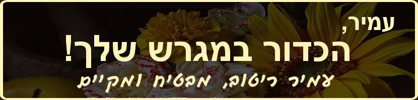 עמיר ריטוב - הבטחות צריך לקיים