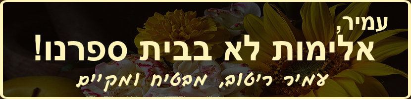 עמיר ריטוב - הבטחות צריך לקיים