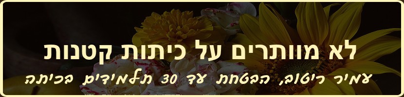 עמיר ריטוב - הבטחות צריך לקיים