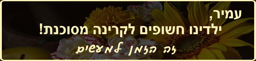קרינה בבית הספר