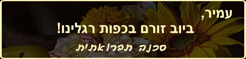 עמיר ריטוב ביוב זורם בבית ספר שבאחריותך