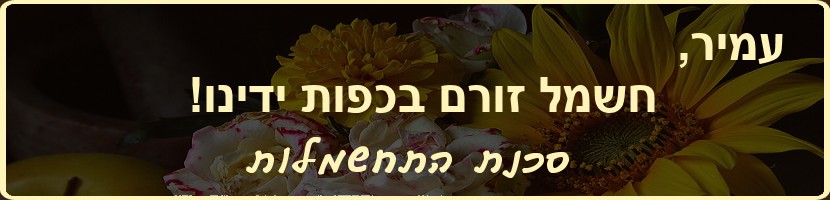 בבית ספר במועצה האיזורית לב השרון בראשות עמיר ריטוב, קיימים מפגעי חשמל רבים, המסכנים את תלמידי בית הספר.