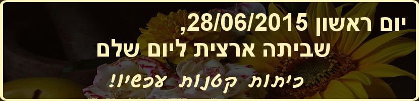 היום הוחלט על השבתה של כל בתי הספר בארץ ביום ראשון הקרוב, 28.6.2015 והנהגת ההורים החליטה להצטרף ולהשבית ביום זה את בית הספר, למעט כיתות ו' שיוצאות לטיול שנתי כמתוכנן. ההשבתה במטרה ללחוץ על משרד החינוך לקיים את התקנה בדבר כיתות קטנות.