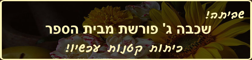 עמיר ריטוב, שכבה ג פורשת מבית הספר.