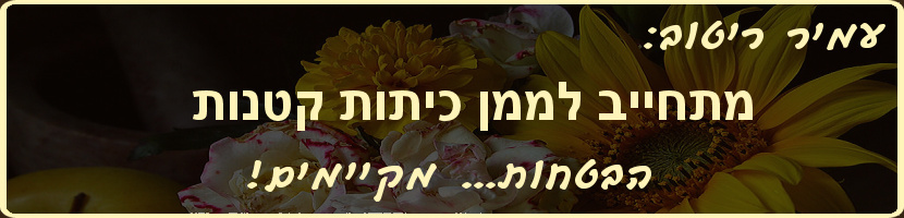 ממשיכים בכיתות קטנות
