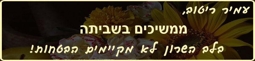 עמיר ריטוב אנחנו ממשיכים בשביתה ושכבה ג תמשיך ללמוד בבית ספר אלטרנטיבי שלא במסגרת מועצת לב השרון, כיוון שאתה לא עומד בהבטחות שלך