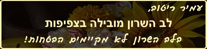 לב השרון מובילה בצפיפות וברדיו האזורי מדווחים על כך שחודש שלם שכבה לא לומדת בבית הספר