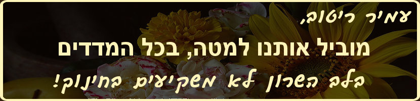 חינוך בלב השרון כפי שהוא מתבטא בתוצאות המיצב לבית הספר בכר רוסו מאז נבחר עמיר ריטוב לראשות המועצה
