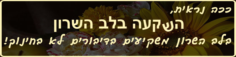 ככה נראית השקעה במועצה האיזורית לב השרון. בלב השרון משקיעים בדיבורים לא בחינוך